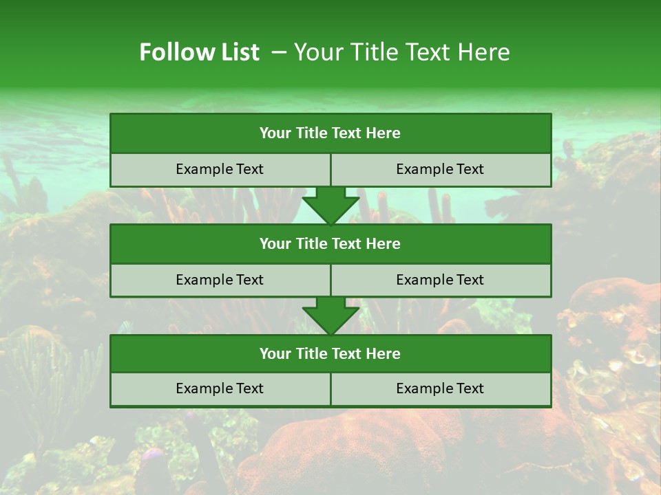 Barrier Reef Caribbean Sea Underwater Scene PowerPoint Template