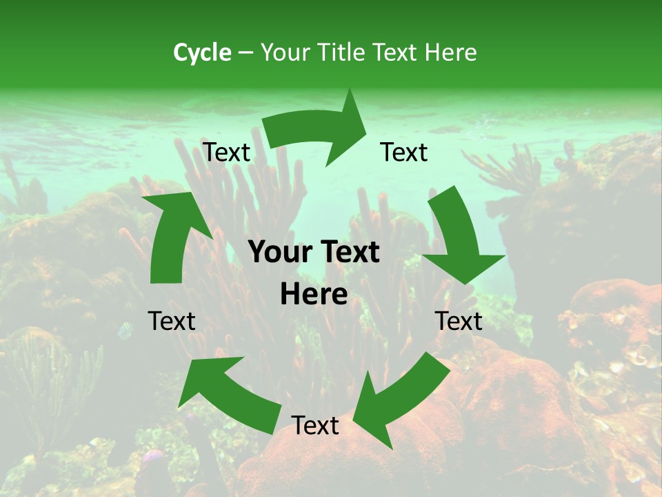 Barrier Reef Caribbean Sea Underwater Scene PowerPoint Template