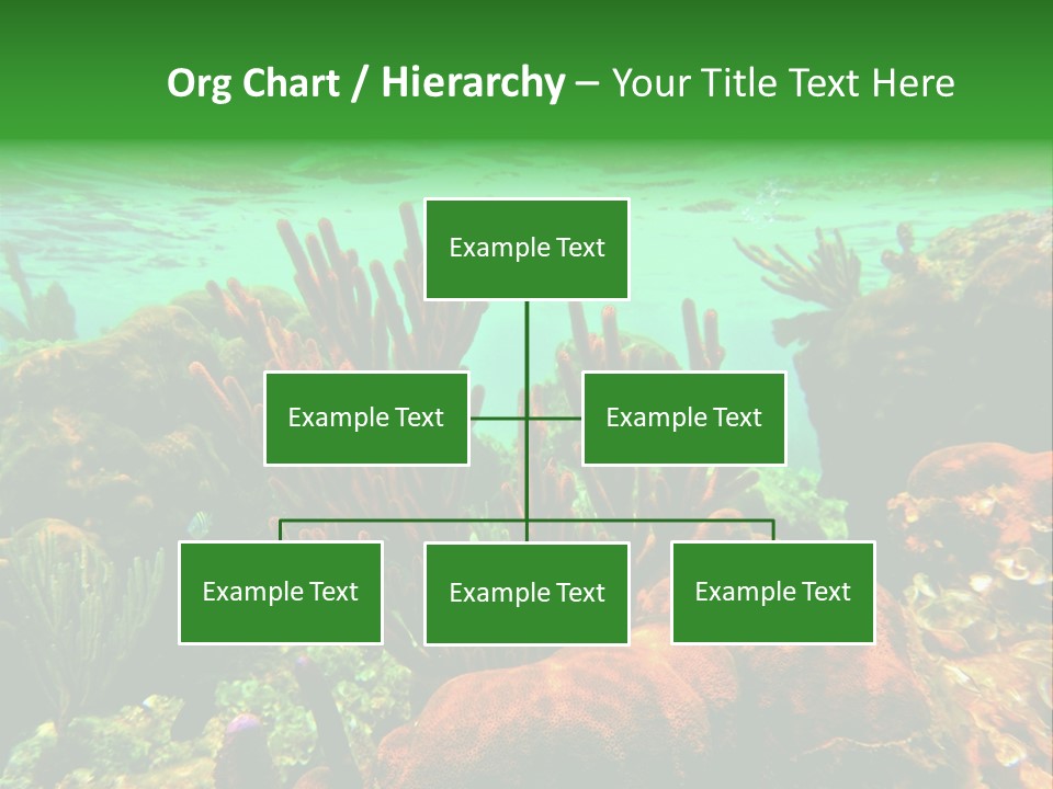 Barrier Reef Caribbean Sea Underwater Scene PowerPoint Template