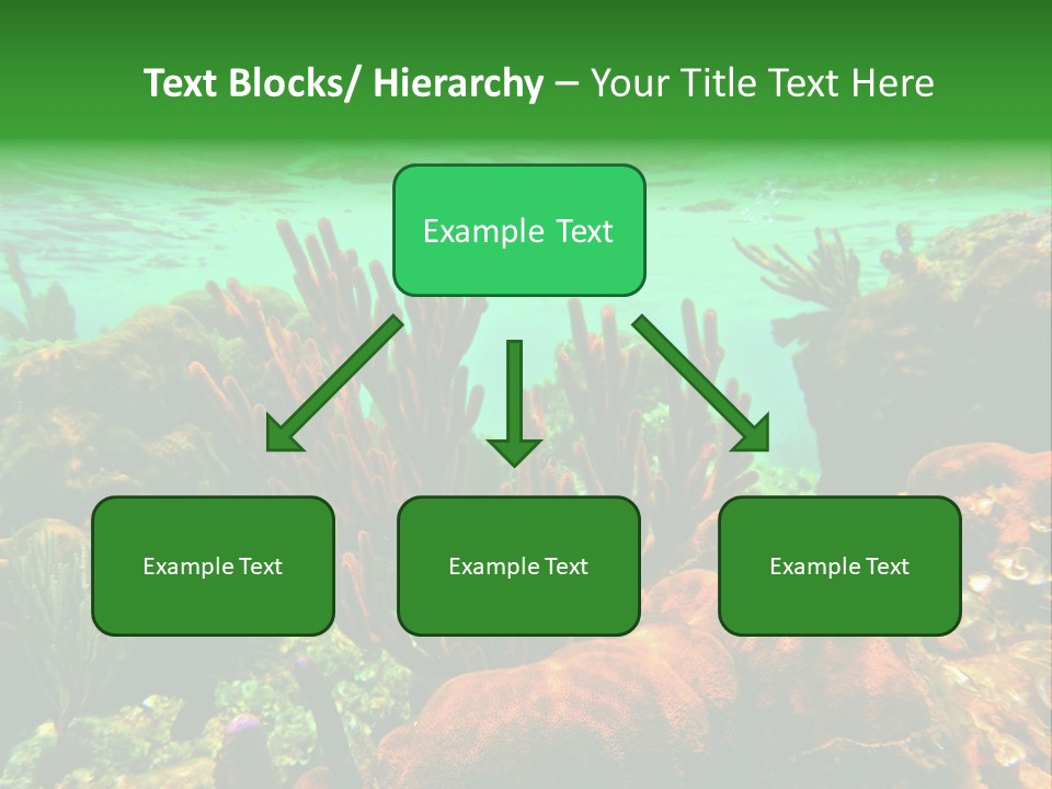 Barrier Reef Caribbean Sea Underwater Scene PowerPoint Template
