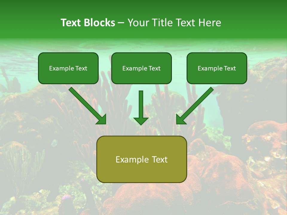 Barrier Reef Caribbean Sea Underwater Scene PowerPoint Template