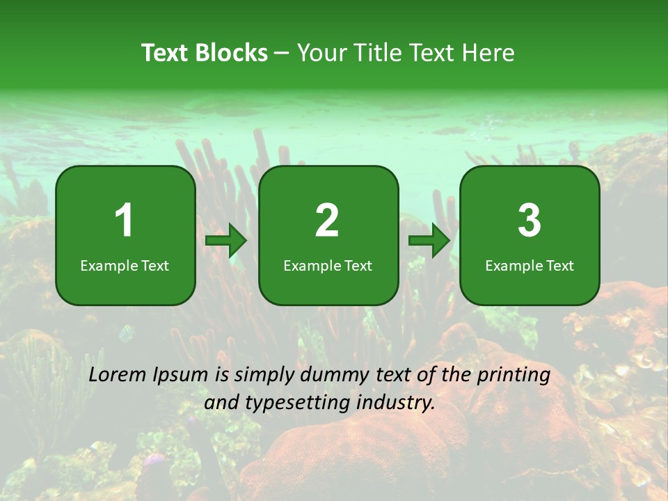Barrier Reef Caribbean Sea Underwater Scene PowerPoint Template