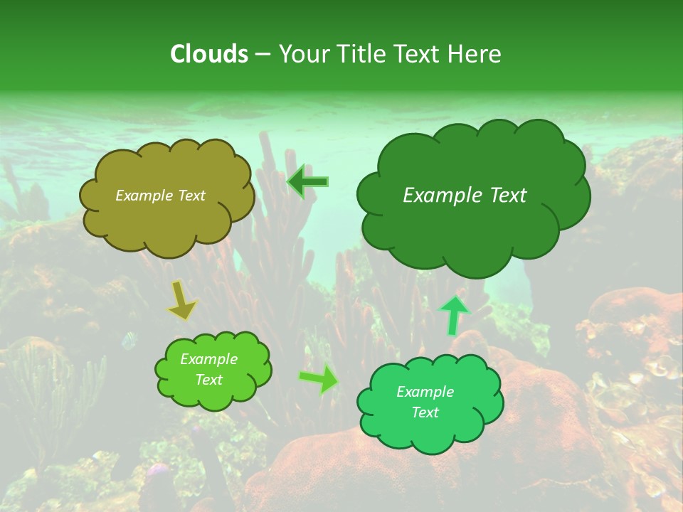 Barrier Reef Caribbean Sea Underwater Scene PowerPoint Template