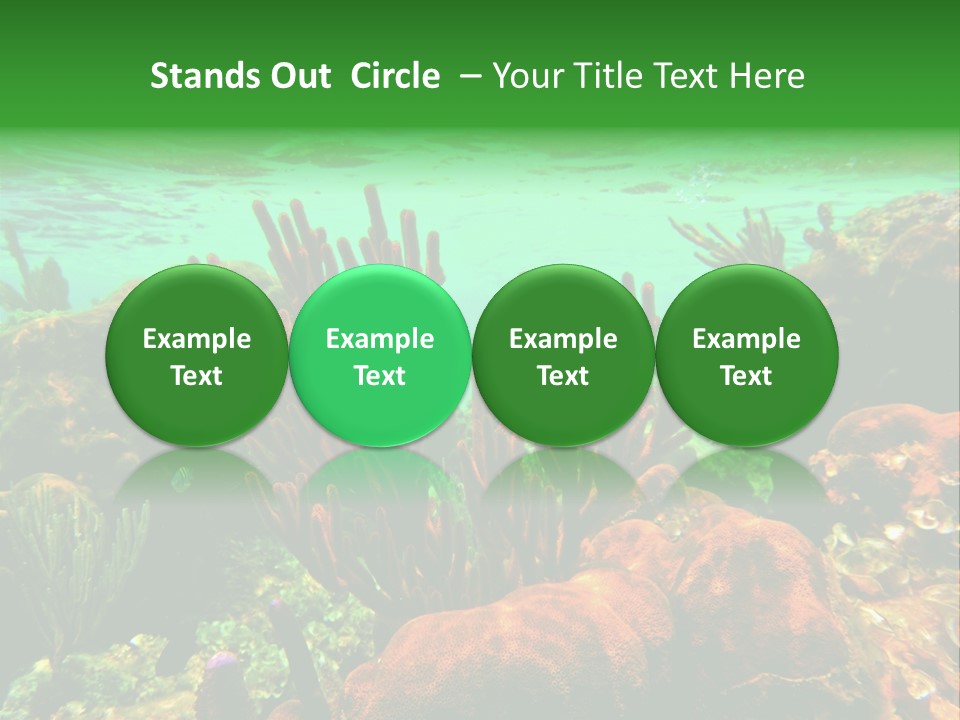 Barrier Reef Caribbean Sea Underwater Scene PowerPoint Template