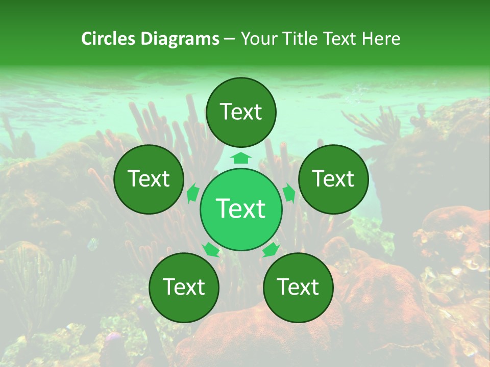 Barrier Reef Caribbean Sea Underwater Scene PowerPoint Template