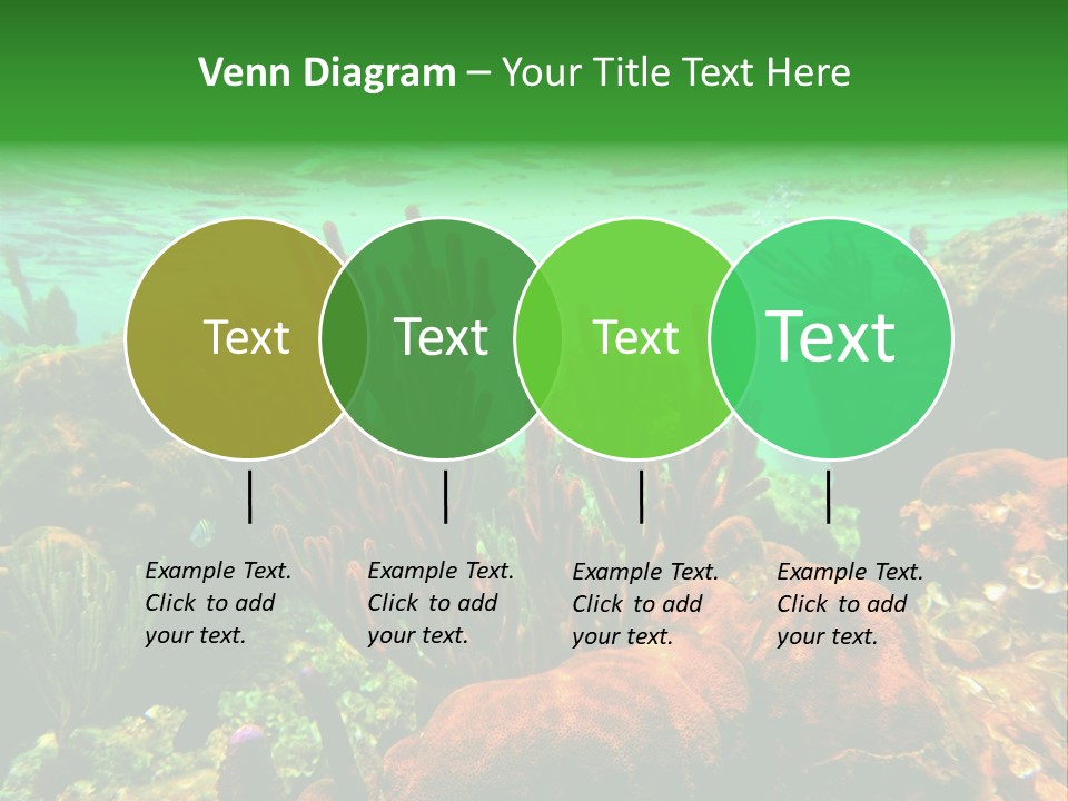 Barrier Reef Caribbean Sea Underwater Scene PowerPoint Template