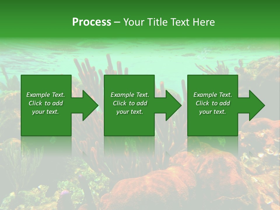 Barrier Reef Caribbean Sea Underwater Scene PowerPoint Template