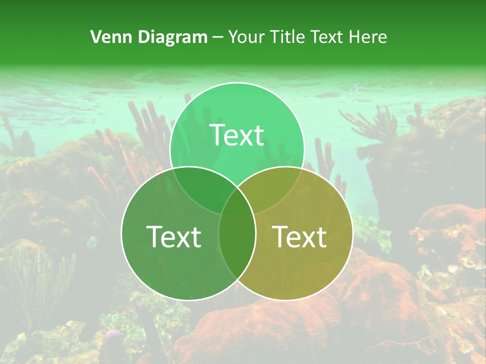 Barrier Reef Caribbean Sea Underwater Scene PowerPoint Template