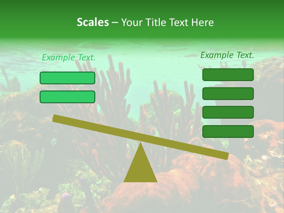 Barrier Reef Caribbean Sea Underwater Scene PowerPoint Template