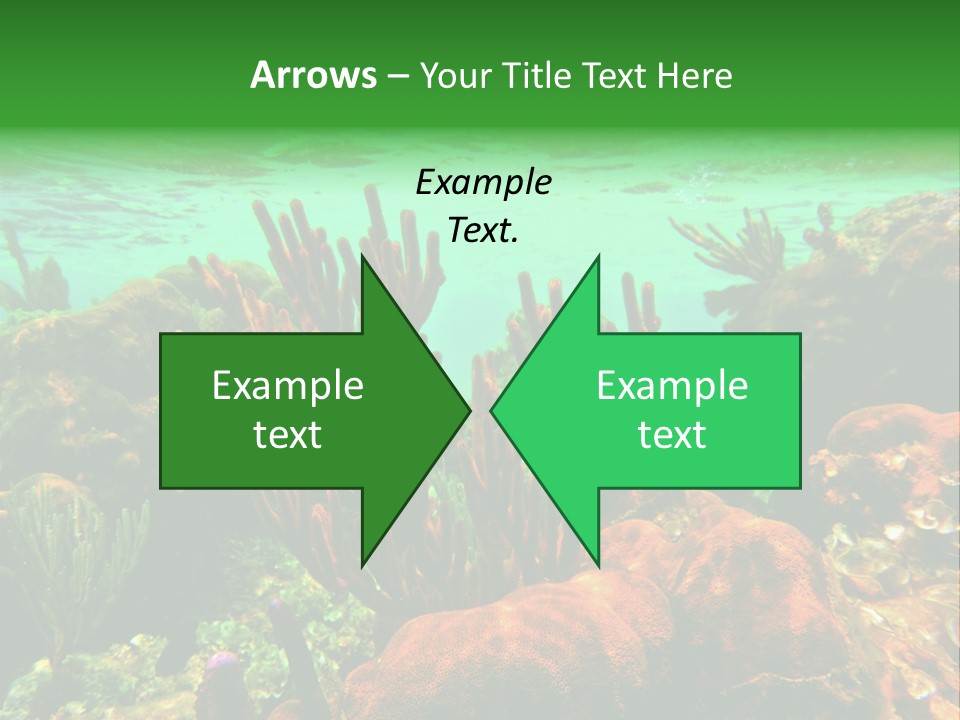 Barrier Reef Caribbean Sea Underwater Scene PowerPoint Template