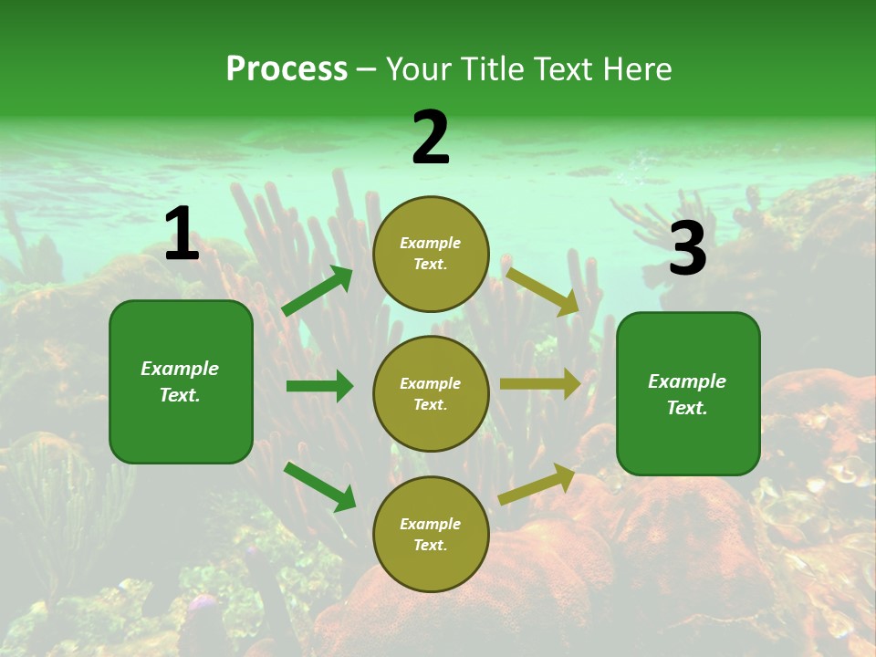 Barrier Reef Caribbean Sea Underwater Scene PowerPoint Template