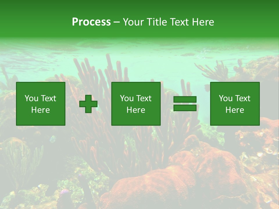 Barrier Reef Caribbean Sea Underwater Scene PowerPoint Template