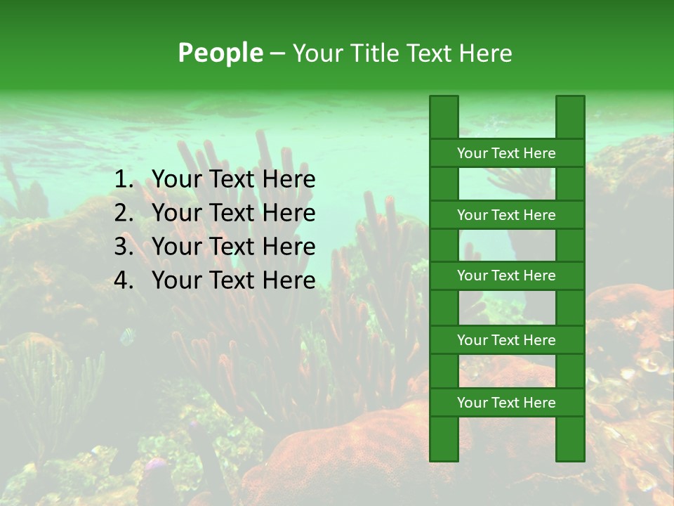 Barrier Reef Caribbean Sea Underwater Scene PowerPoint Template