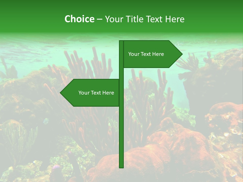 Barrier Reef Caribbean Sea Underwater Scene PowerPoint Template