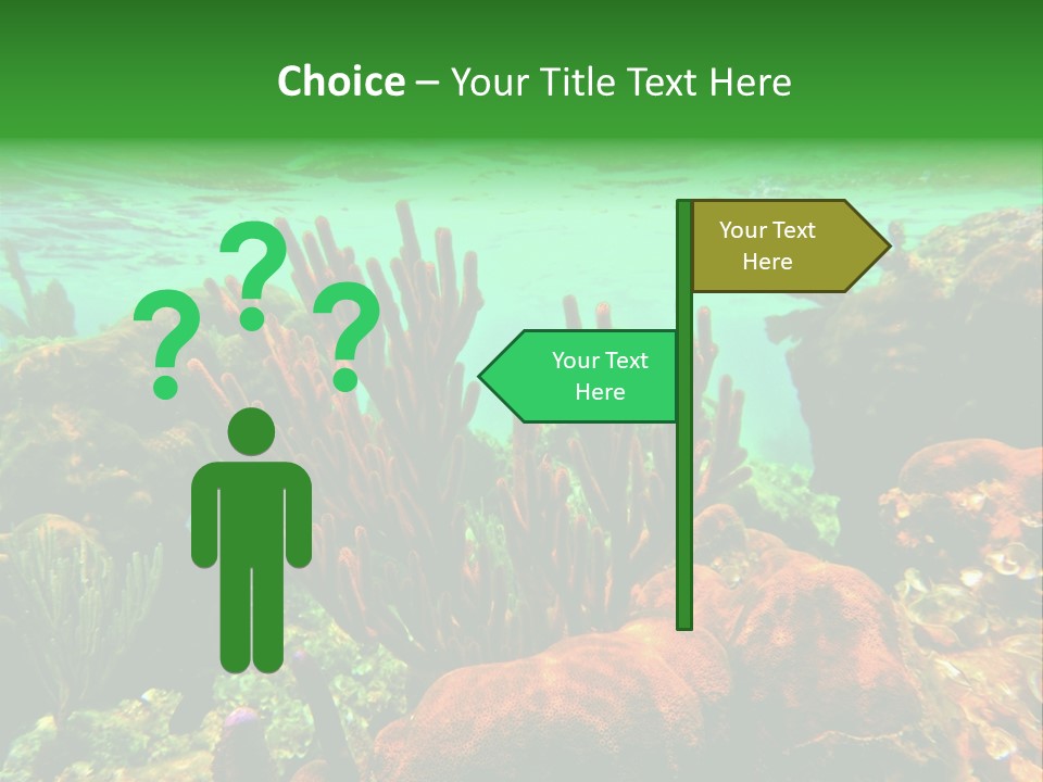 Barrier Reef Caribbean Sea Underwater Scene PowerPoint Template