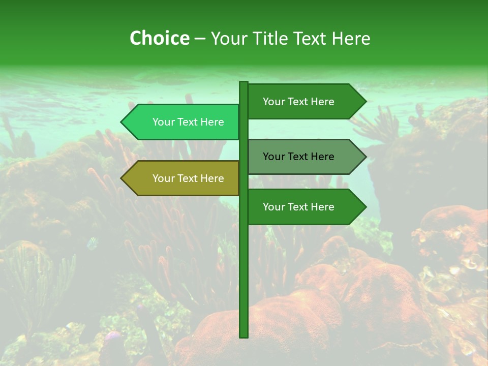 Barrier Reef Caribbean Sea Underwater Scene PowerPoint Template