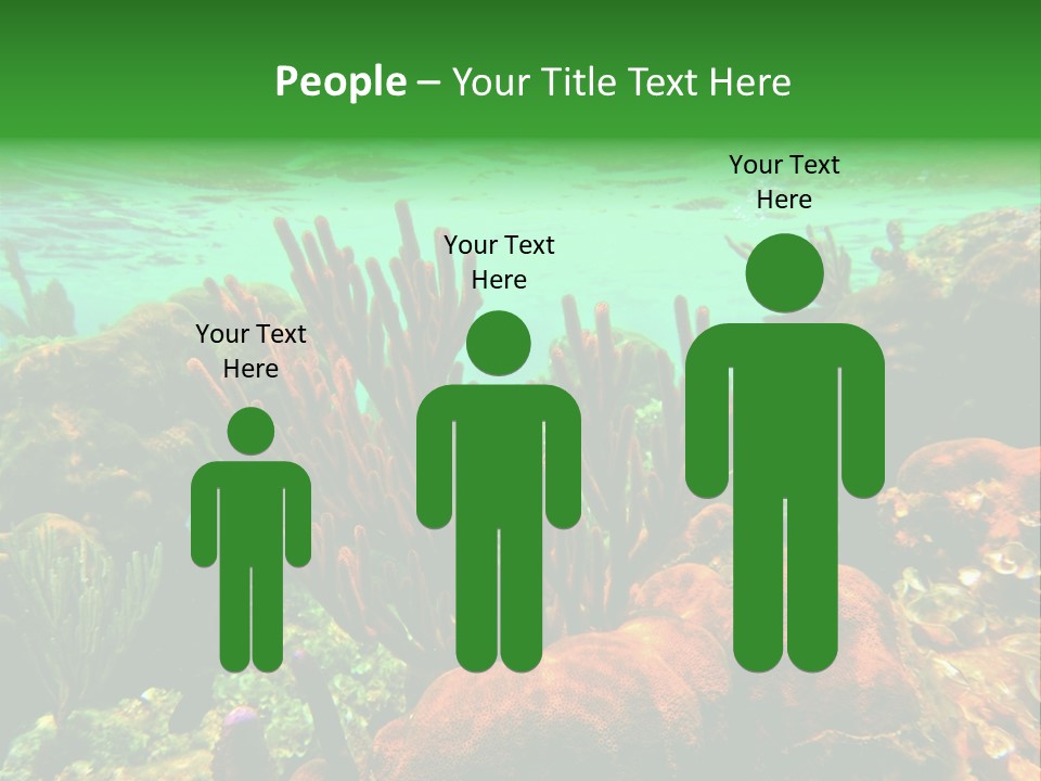 Barrier Reef Caribbean Sea Underwater Scene PowerPoint Template