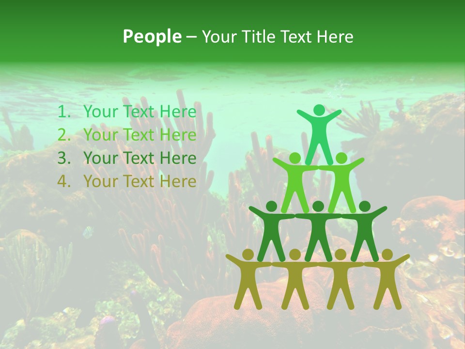 Barrier Reef Caribbean Sea Underwater Scene PowerPoint Template