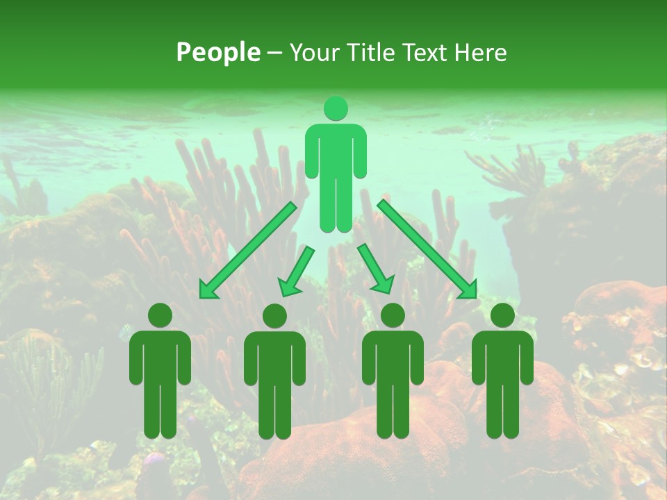 Barrier Reef Caribbean Sea Underwater Scene PowerPoint Template