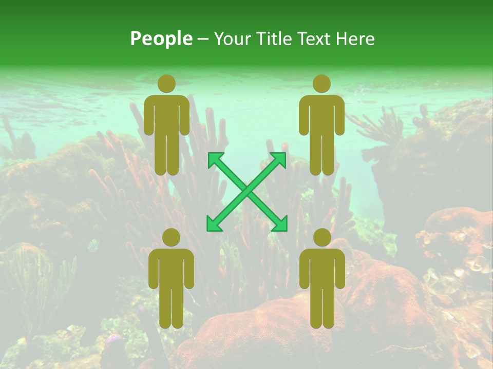 Barrier Reef Caribbean Sea Underwater Scene PowerPoint Template