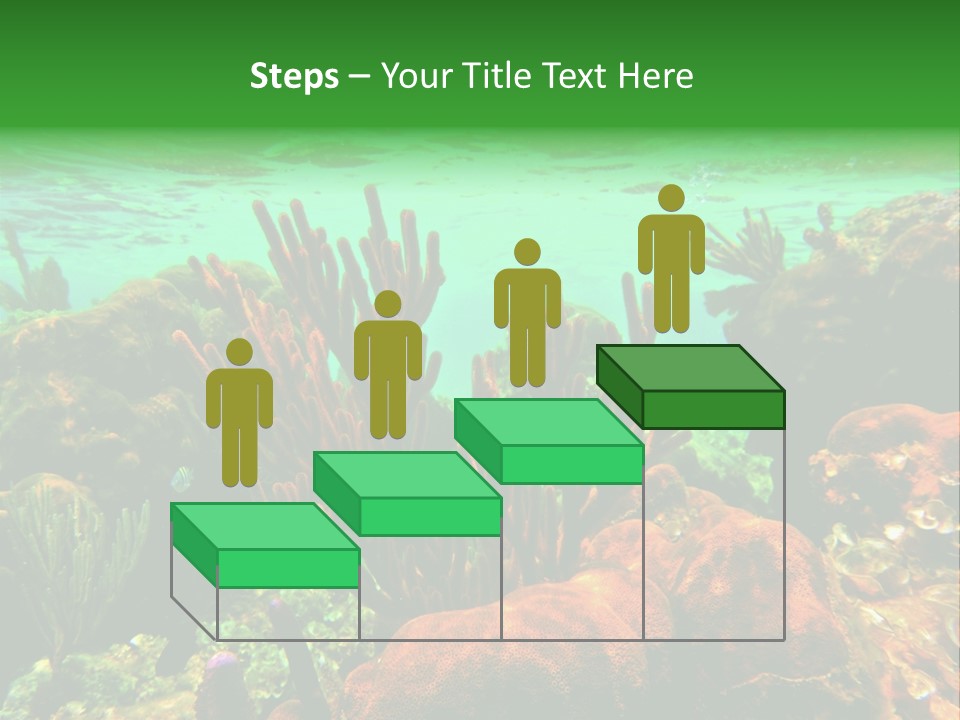 Barrier Reef Caribbean Sea Underwater Scene PowerPoint Template