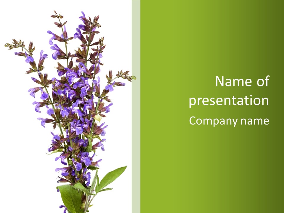 Vertical Purple Ingredient PowerPoint Template
