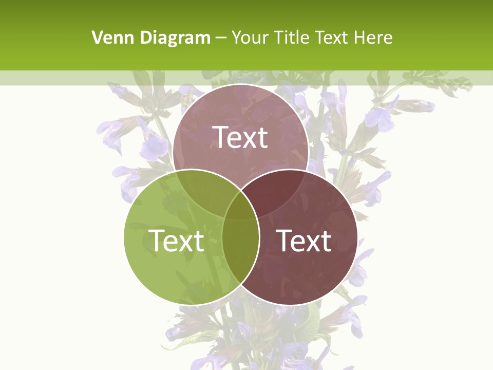 Vertical Purple Ingredient PowerPoint Template