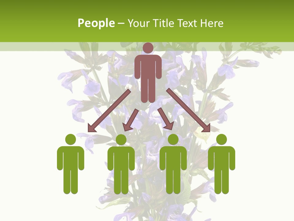 Vertical Purple Ingredient PowerPoint Template