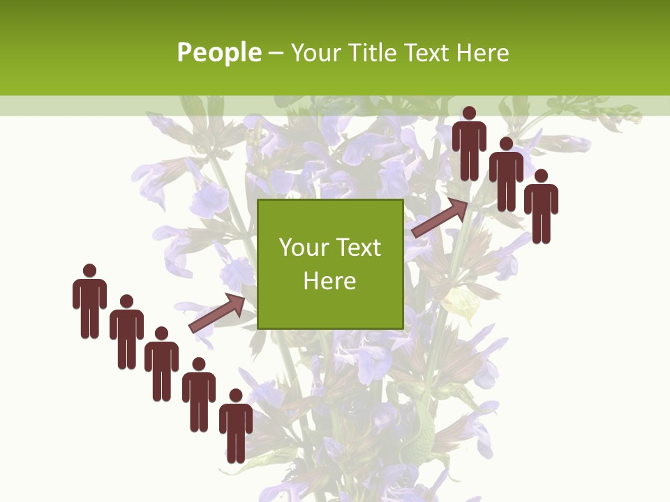 Vertical Purple Ingredient PowerPoint Template