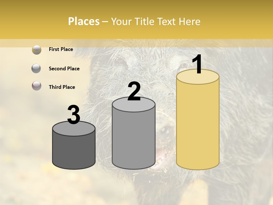 Airplane Air Snow PowerPoint Template