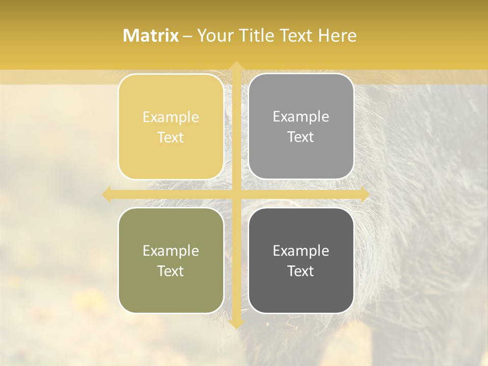 Airplane Air Snow PowerPoint Template