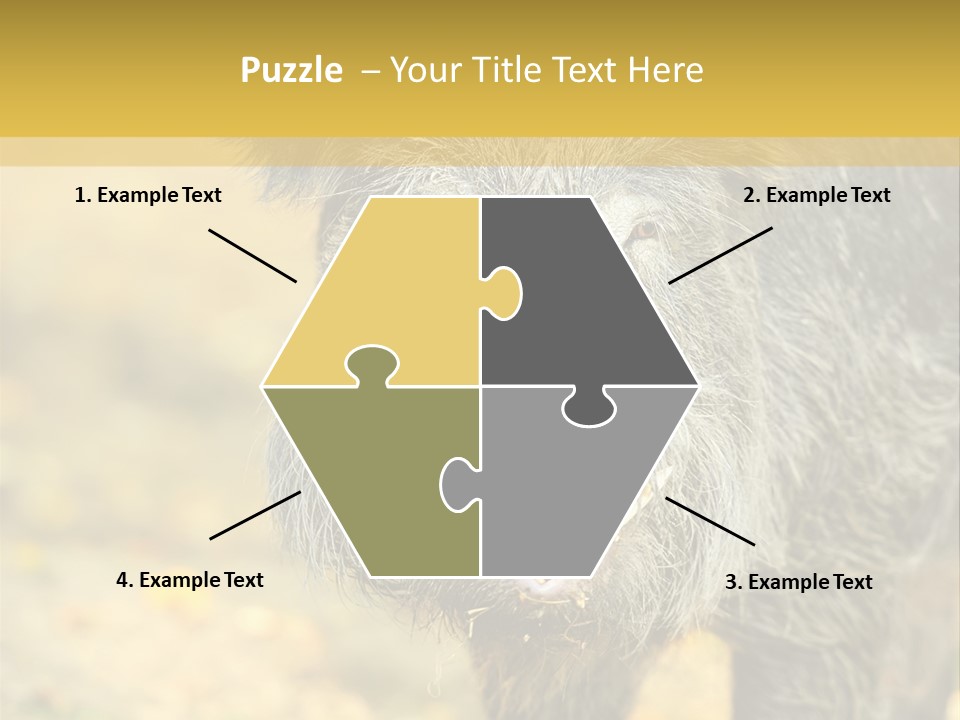 Airplane Air Snow PowerPoint Template