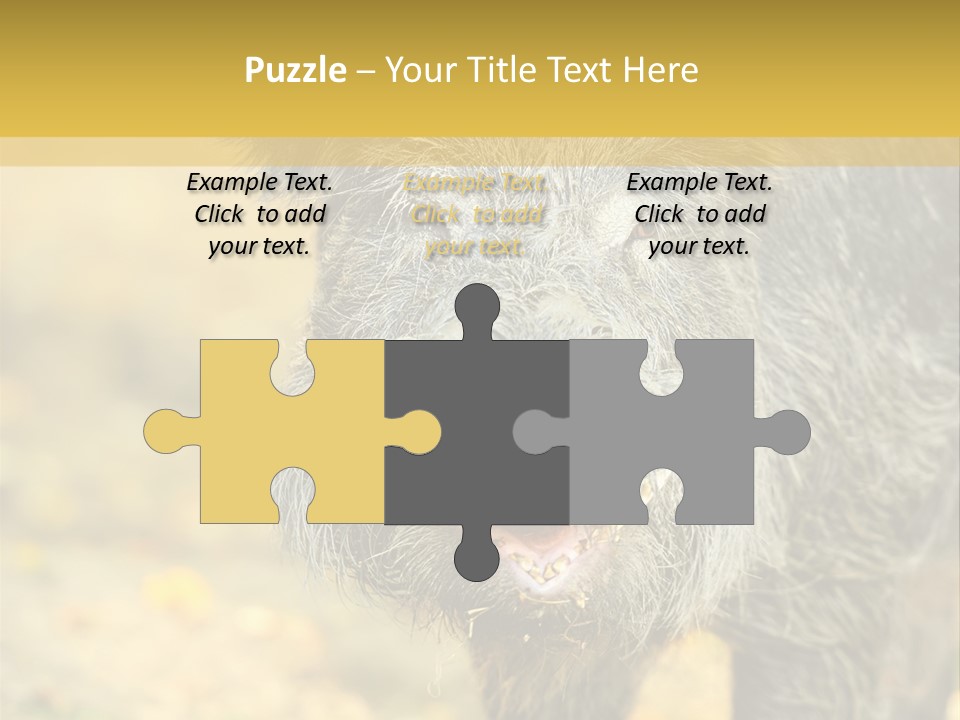 Airplane Air Snow PowerPoint Template