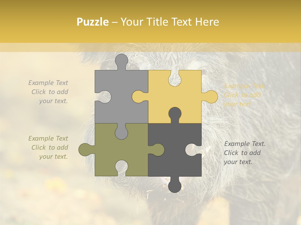 Airplane Air Snow PowerPoint Template