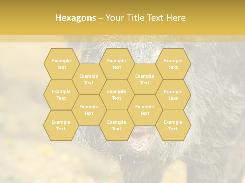 Airplane Air Snow PowerPoint Template