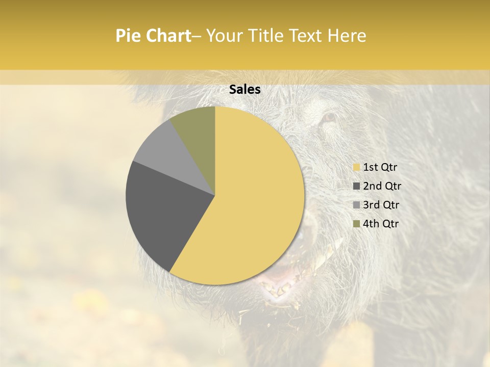 Airplane Air Snow PowerPoint Template