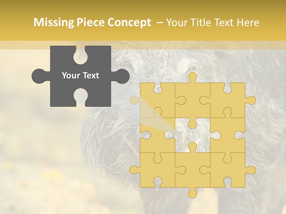 Airplane Air Snow PowerPoint Template