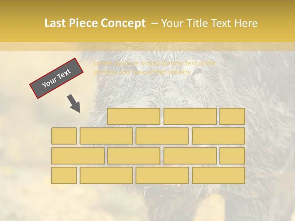 Airplane Air Snow PowerPoint Template