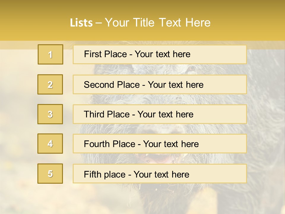 Airplane Air Snow PowerPoint Template