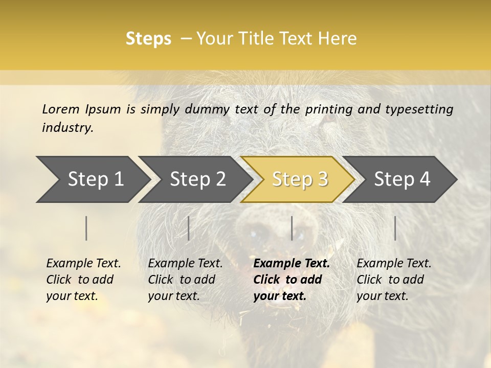 Airplane Air Snow PowerPoint Template