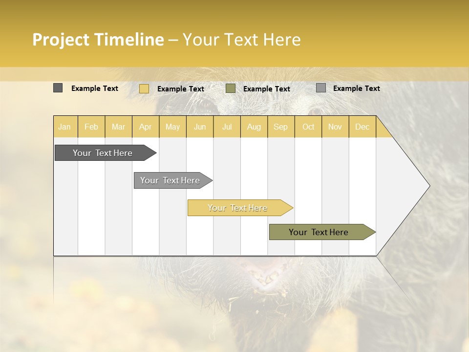 Airplane Air Snow PowerPoint Template