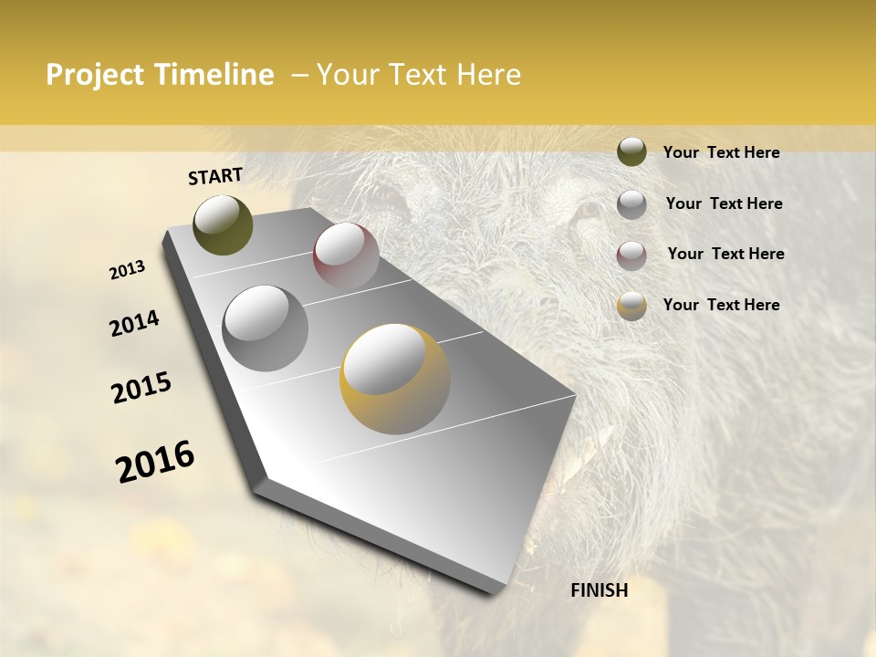 Airplane Air Snow PowerPoint Template