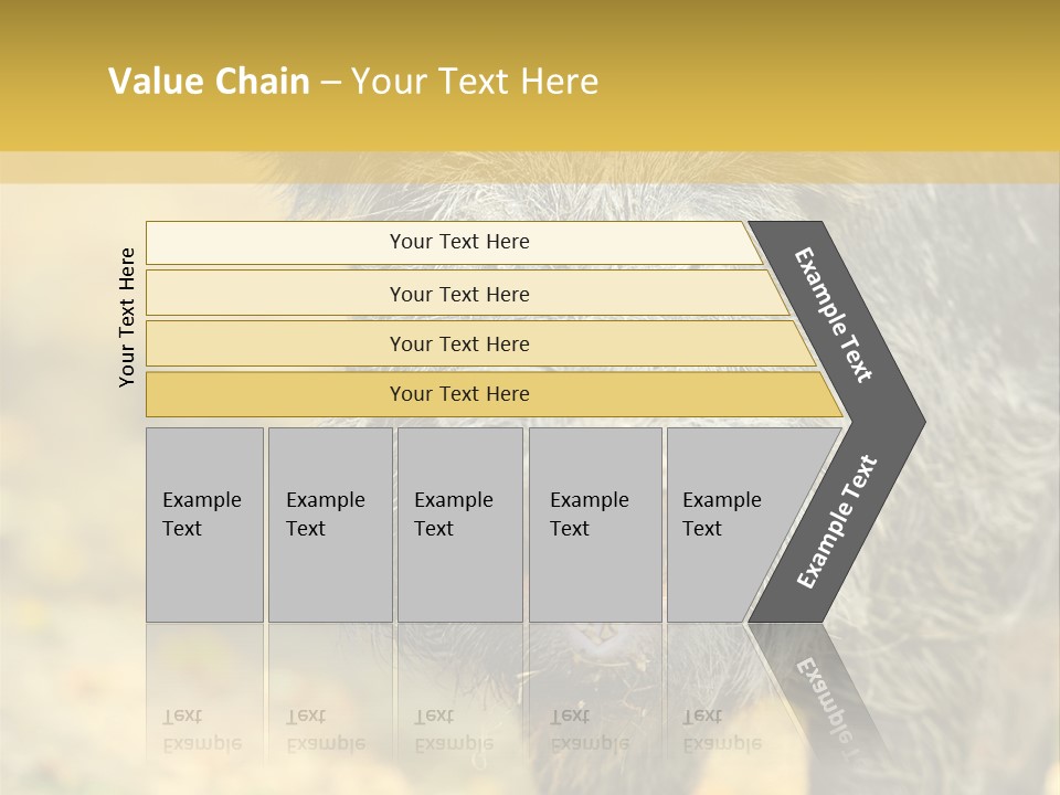 Airplane Air Snow PowerPoint Template