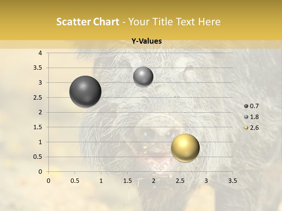 Airplane Air Snow PowerPoint Template