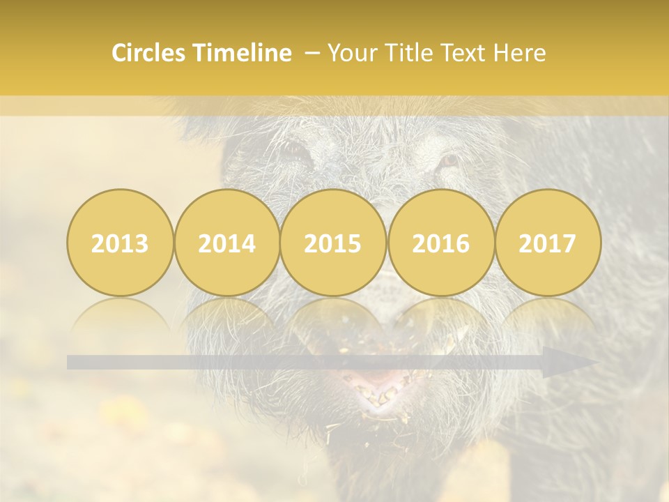 Airplane Air Snow PowerPoint Template