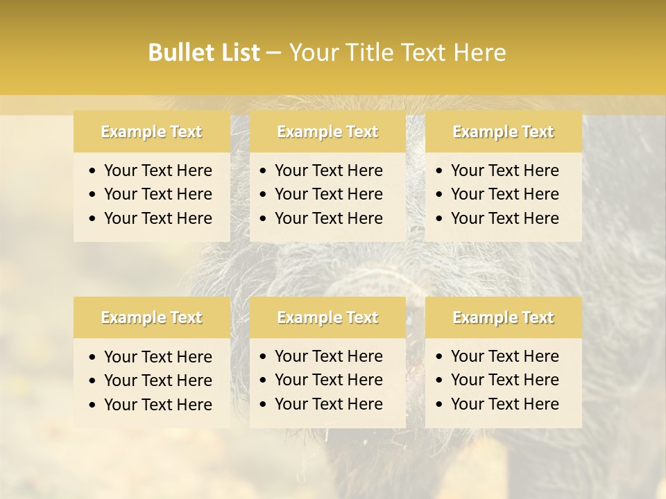 Airplane Air Snow PowerPoint Template