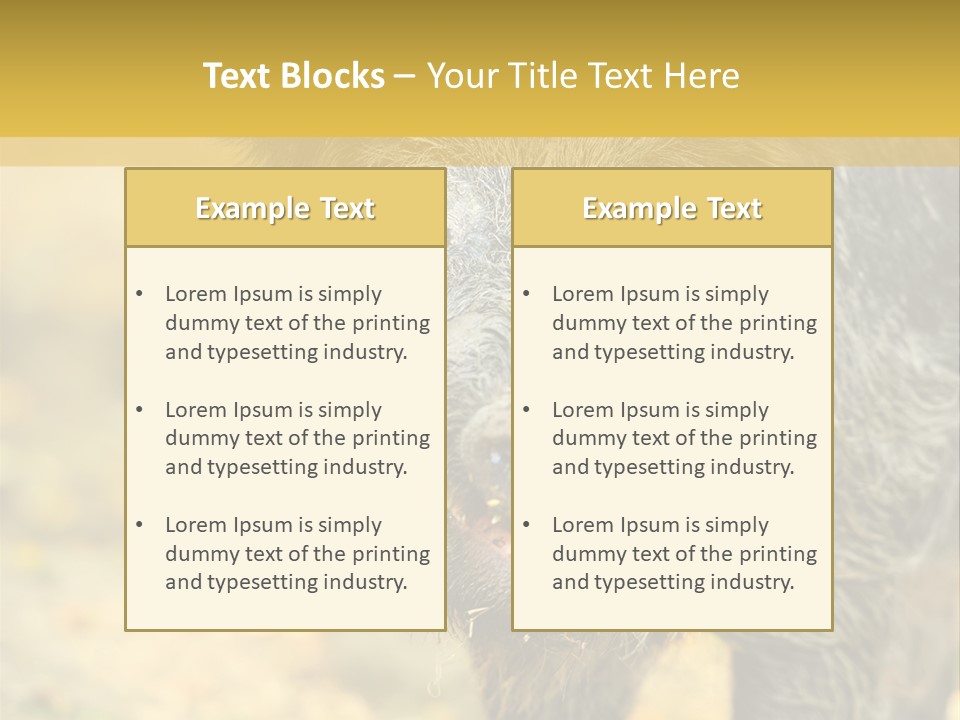 Airplane Air Snow PowerPoint Template