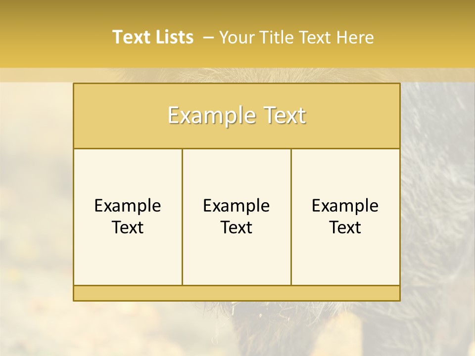 Airplane Air Snow PowerPoint Template