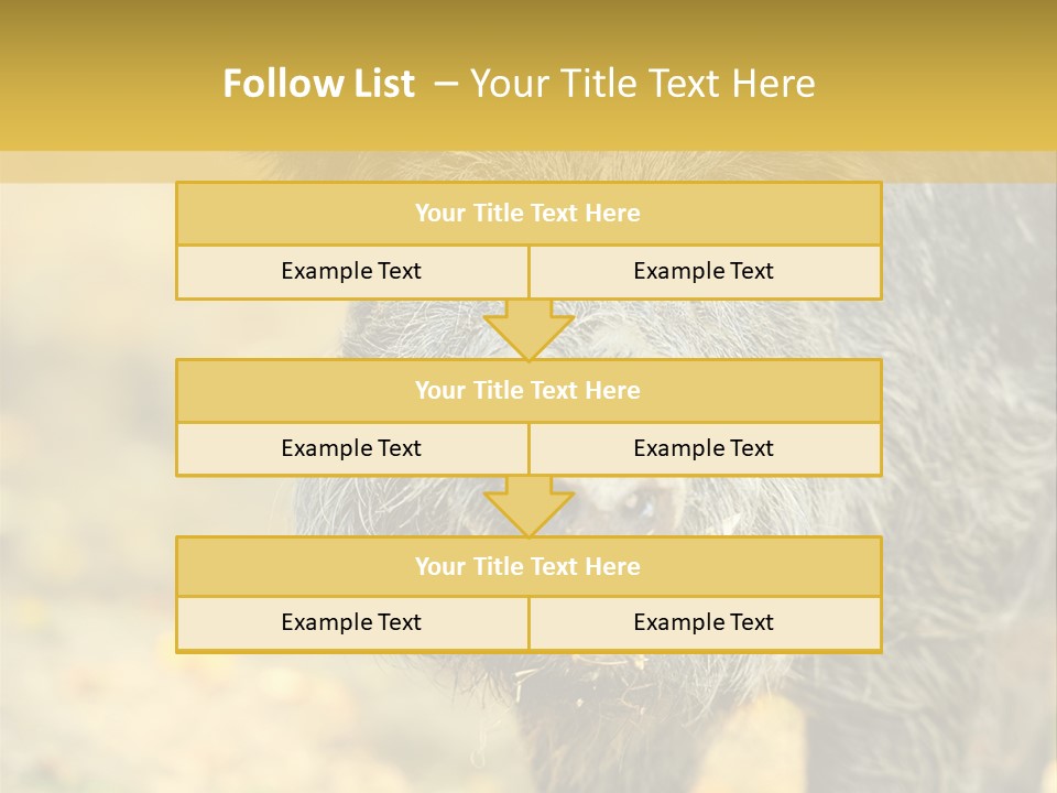 Airplane Air Snow PowerPoint Template