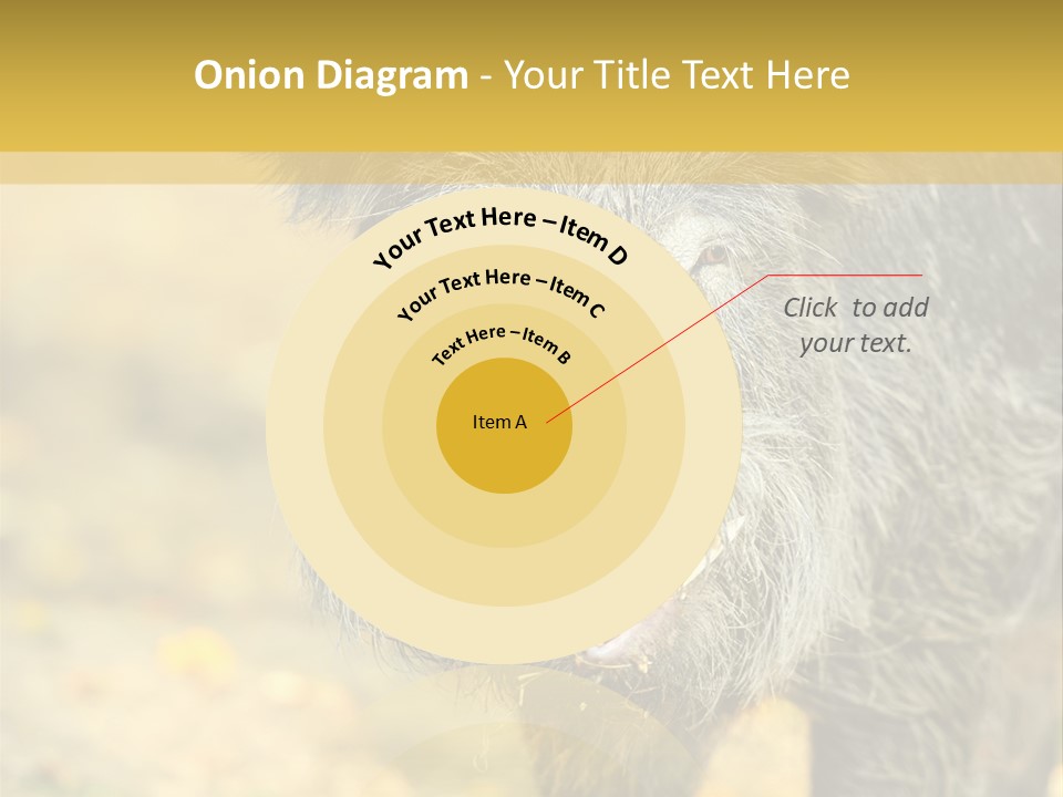 Airplane Air Snow PowerPoint Template